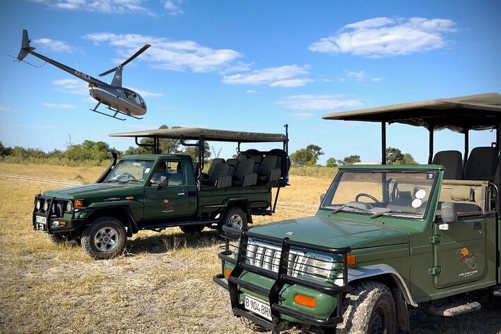 Full-Day Mokoro Experience in the Okavango Delta