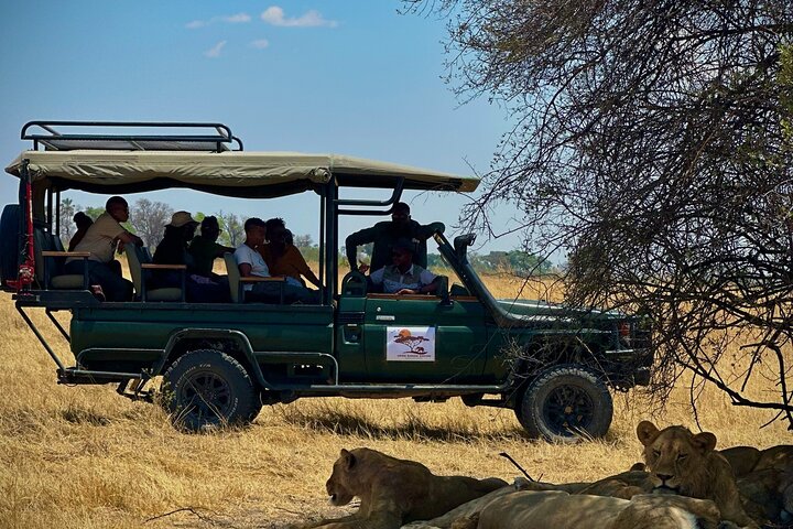 Full-Day Mokoro Experience in the Okavango Delta