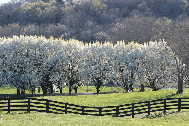 Natchez Trace Parkway: Tennessee & Alabama GPS Audio Driving Tour