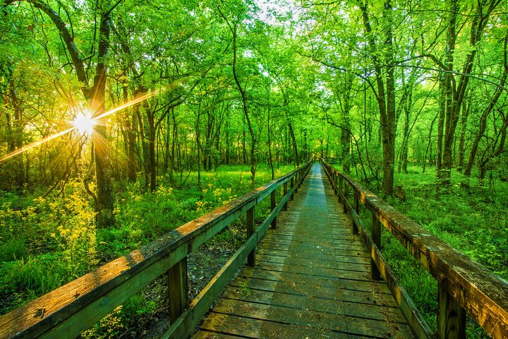 Natchez Trace Parkway: Tennessee & Alabama GPS Audio Driving Tour