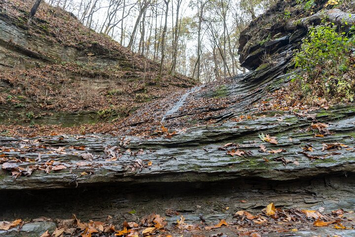 Natchez Trace Parkway: Tennessee & Alabama GPS Audio Driving Tour