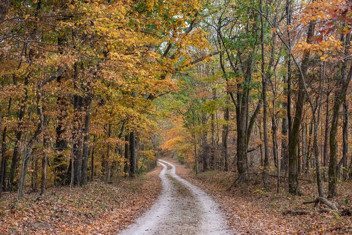 Natchez Trace Parkway: Tennessee & Alabama GPS Audio Driving Tour