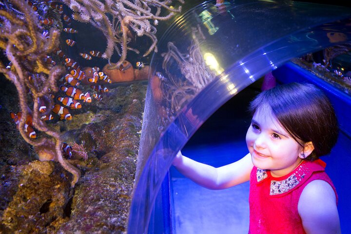 SEA LIFE Birmingham Admission Ticket