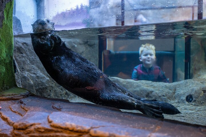 SEA LIFE Birmingham Admission Ticket