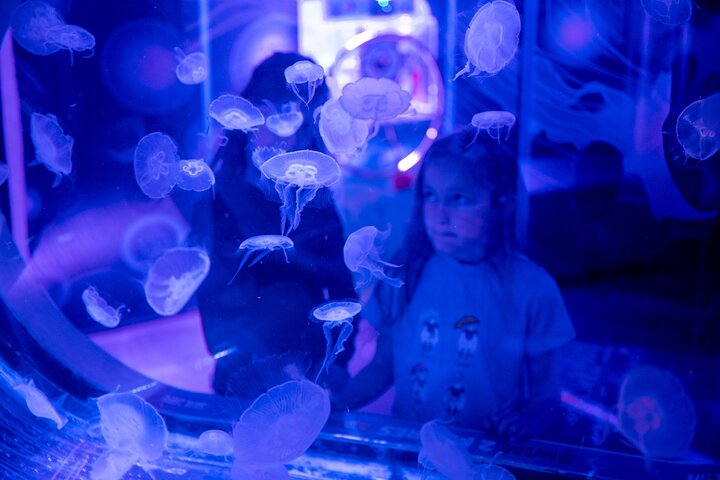 SEA LIFE Birmingham Admission Ticket
