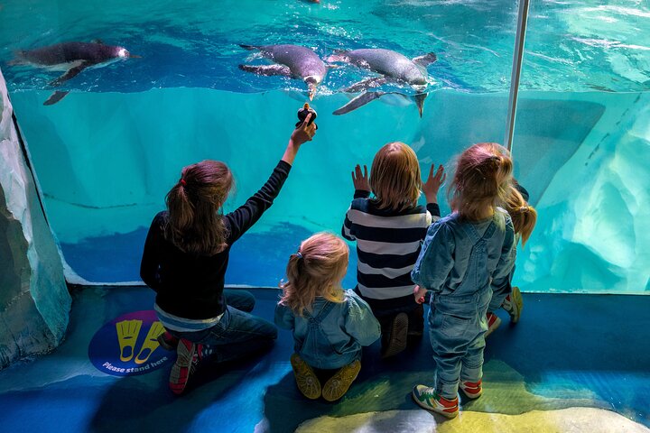 SEA LIFE Birmingham Admission Ticket