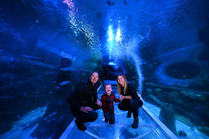 SEA LIFE Birmingham Admission Ticket