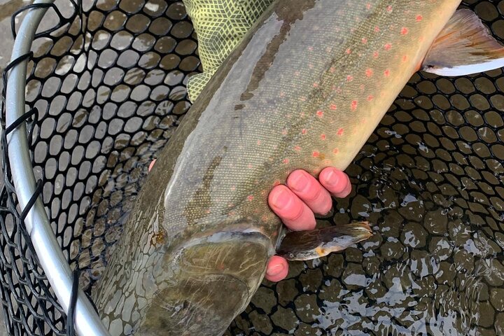 Half Day Walk&Wade (Fly-Fishing / Spin Casting from shore)