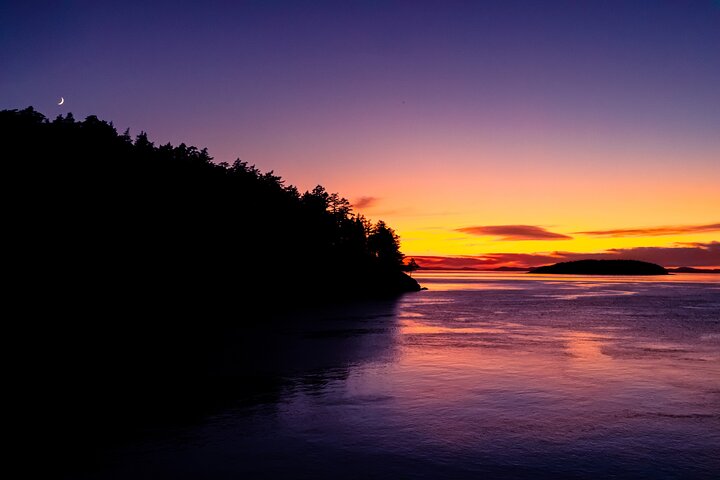 Bioluminescence Kayak Tour in the San Juan Islands