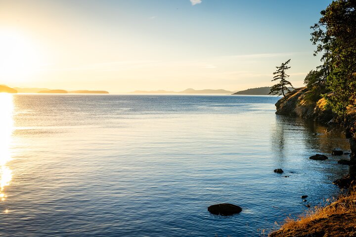 Bioluminescence Kayak Tour in the San Juan Islands