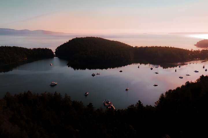 Bioluminescence Kayak Tour in the San Juan Islands