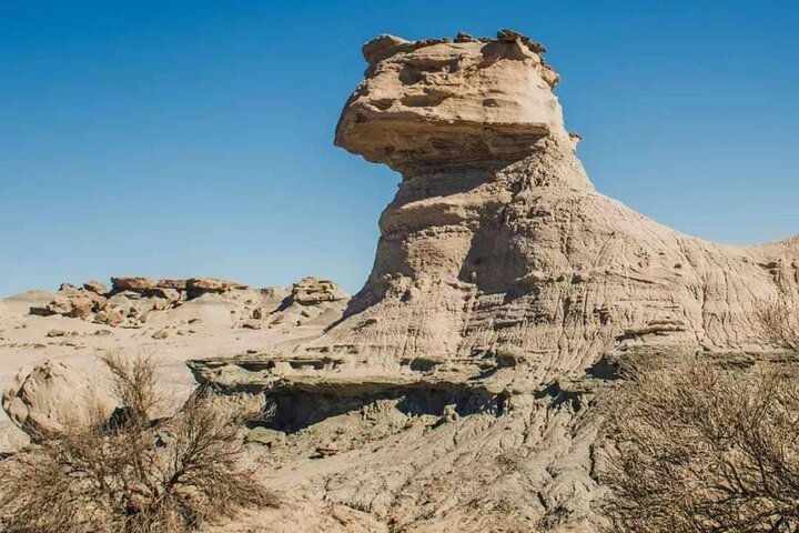 Tour to Ischigualasto Park Adventure in Valley of the Moon