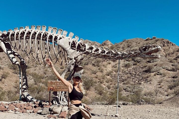 Tour to Ischigualasto Park Adventure in Valley of the Moon