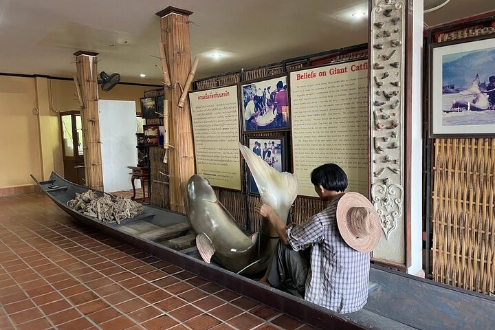 From Chiang Rai: 3 Temples, Golden Triangle Tour, Tea Plantation