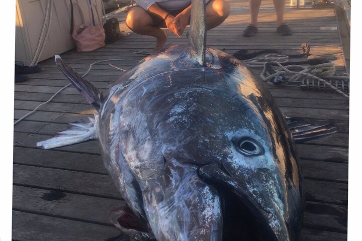 Fishing trip Torrevieja