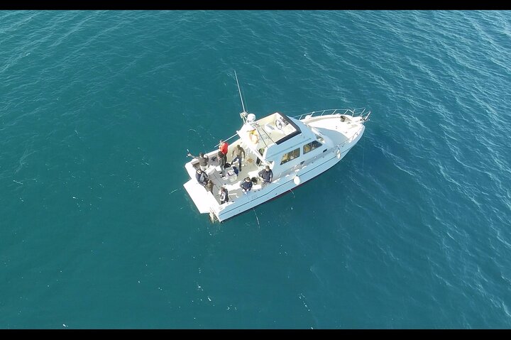 Fishing trip Torrevieja