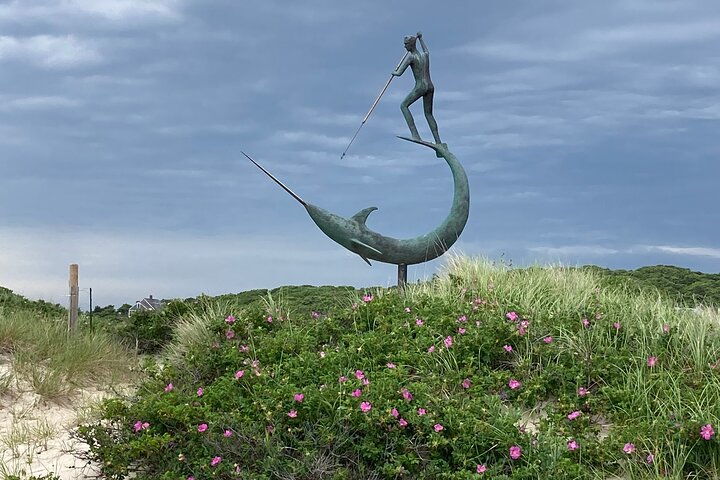 Best of Martha's Vineyard 3 hour Full-Island Tour