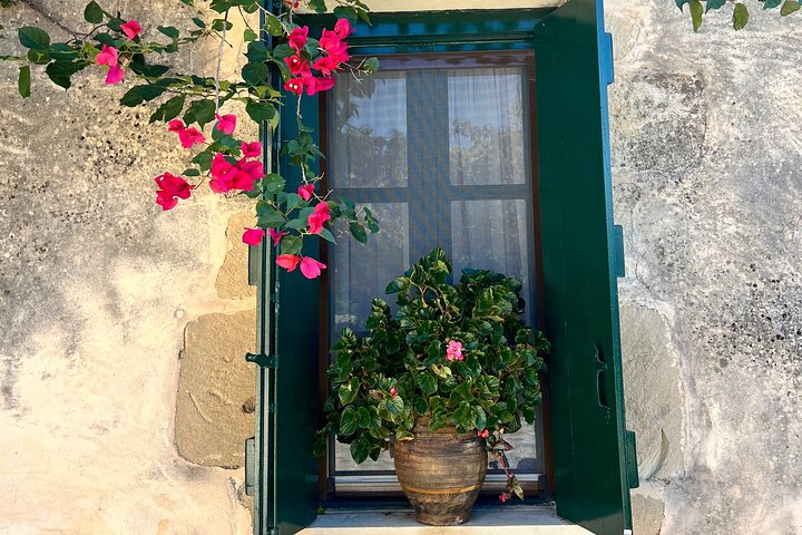 Gastronomy tour and wine tasting in traditional villages