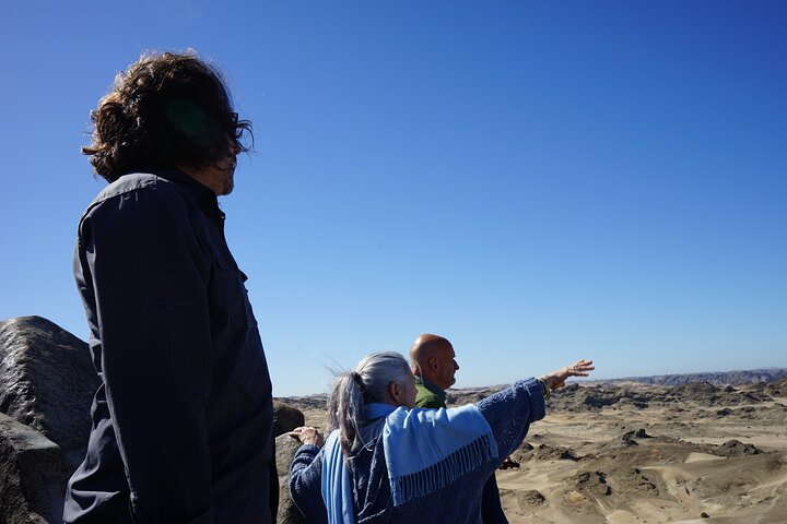 Welwitschia Exclusive Tour in the Moonlandscape, Swakopmund