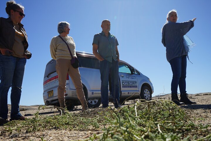 Welwitschia Exclusive Tour in the Moonlandscape, Swakopmund