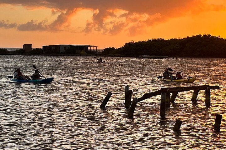 Sunset Kayak and Snorkeling Tour