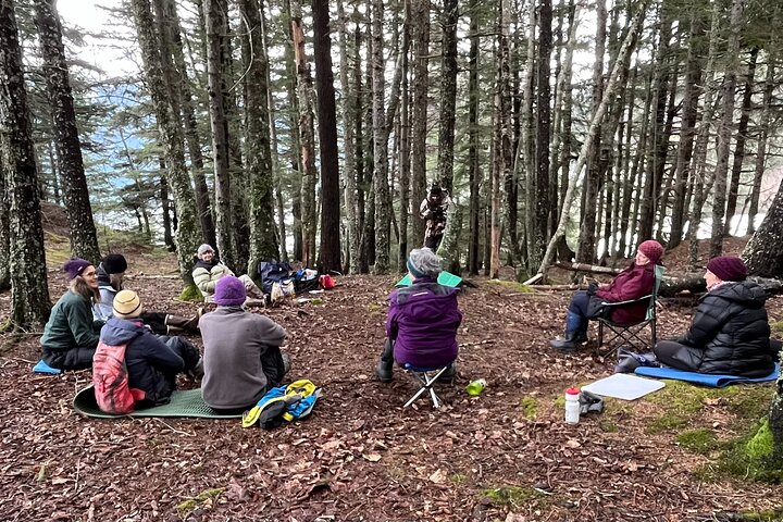 Alaska Nature Immersion: Forest Therapy Tour in Haines, Alaska