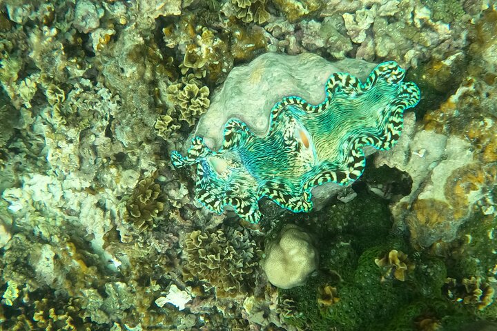 Full-Day Upolu Island Highlights Tour from Apia