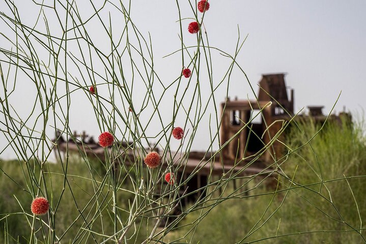 Nukus Muynak Ship Cemetery Tour