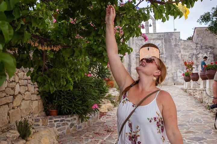 Gastronomy tour and wine tasting in traditional villages