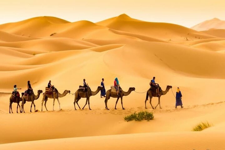 Overnight From Erfoud to Erg Chebbi Merzouga with Camel Ride