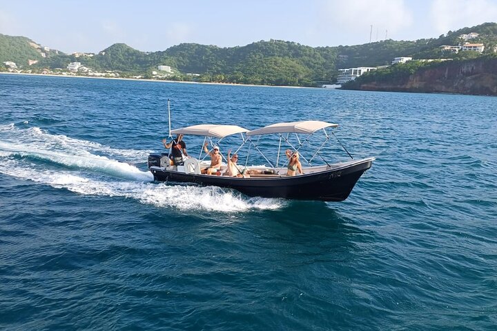 4-hour snorkel cruise to Underwater Sculptures with boat dogs