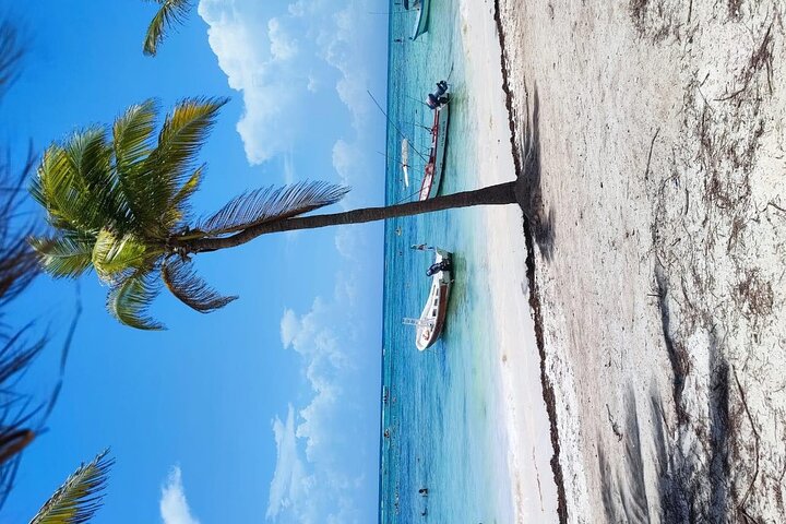 Private Tour to Tulum, Cenote and Swimming with Turtles