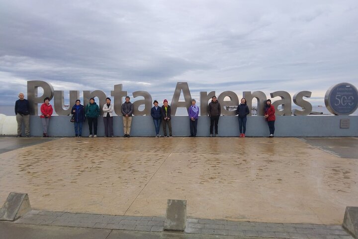 Punta Arenas and Magellan Strait Tour