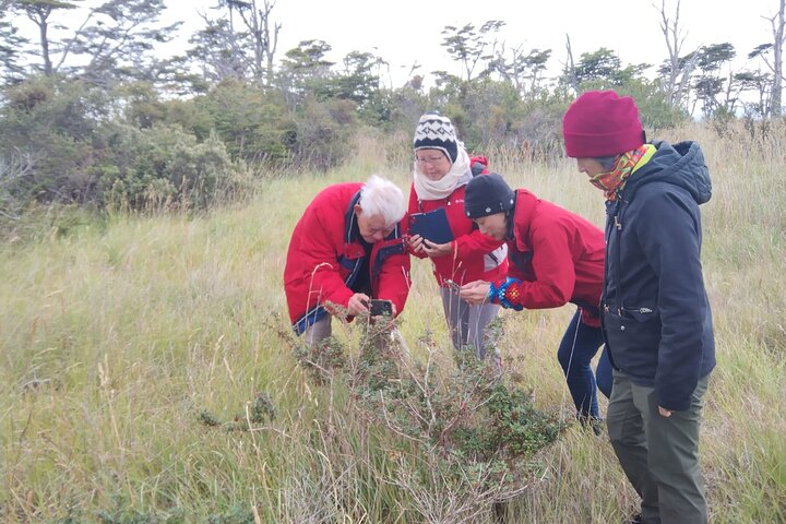 Punta Arenas and Magellan Strait Tour