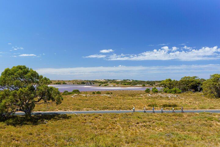 Rottnest Coastal Explorer Tour