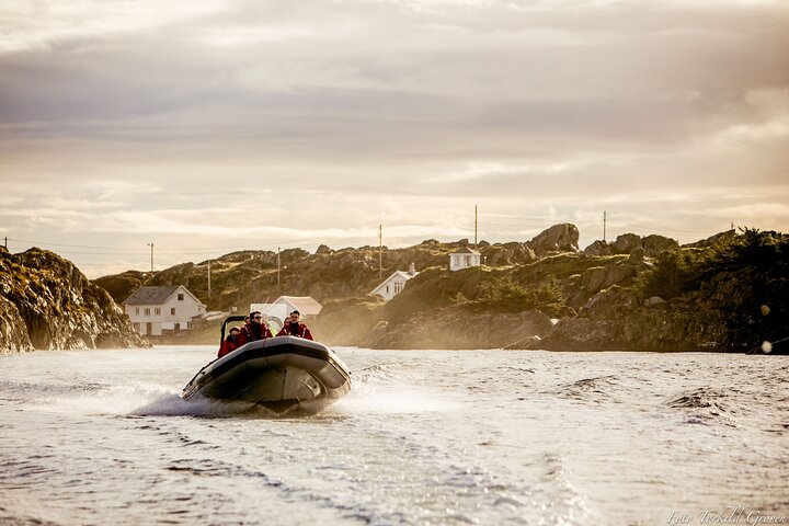 Rib safari Tour in Haugesund