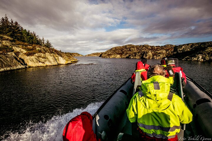 Rib safari Tour in Haugesund