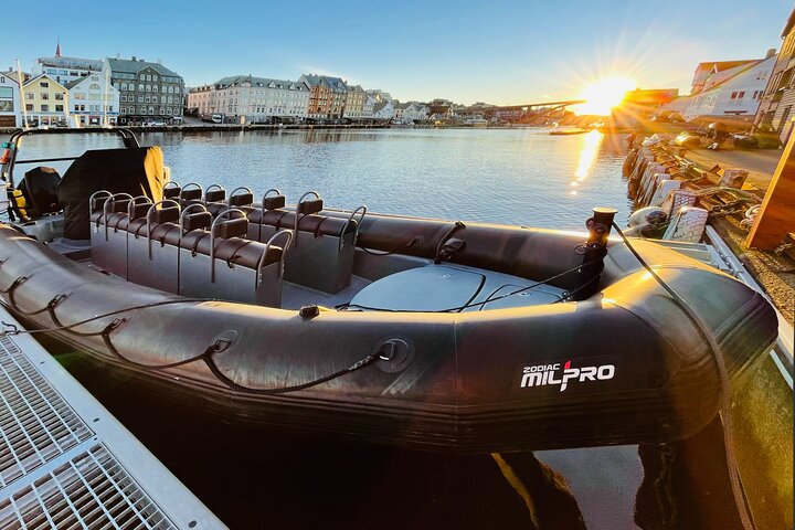 Rib safari Tour in Haugesund