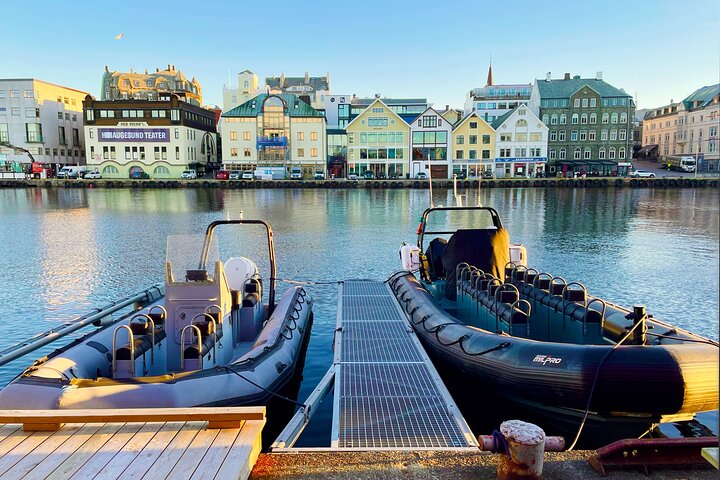 Rib safari Tour in Haugesund