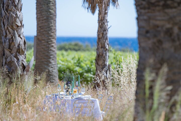 Dinner in the Vineyard Saint Tropez