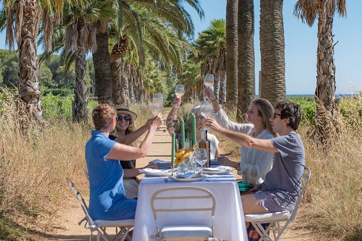 Dinner in the Vineyard Saint Tropez