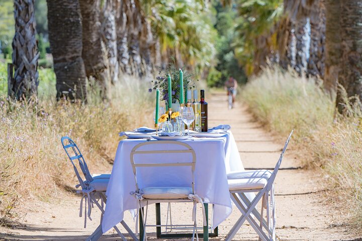 Dinner in the Vineyard Saint Tropez