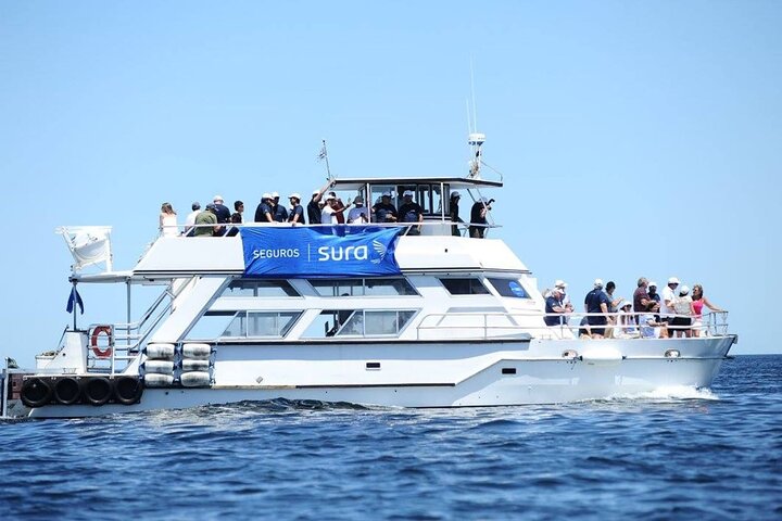 Private Tour for cruisers in Punta del Este with TANGO TOUR