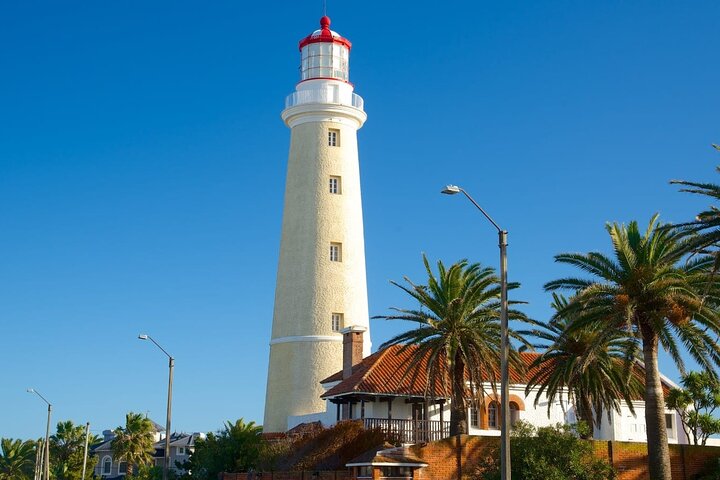 Private Tour for cruisers in Punta del Este with TANGO TOUR