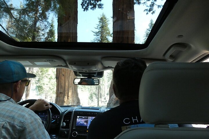 Sequoia National Park Tour from Wuksachi Lodge