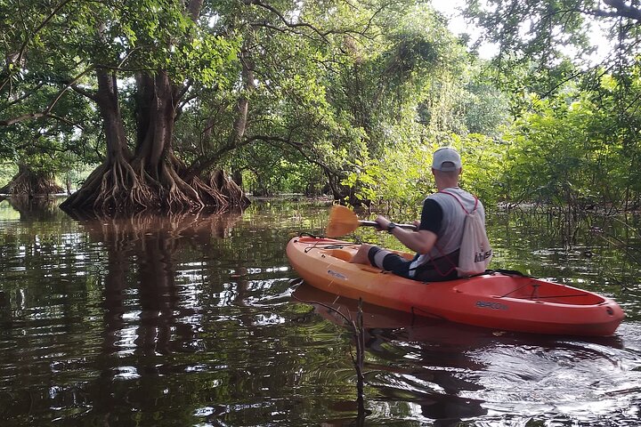 Private Kayaking Experience in Ometepe