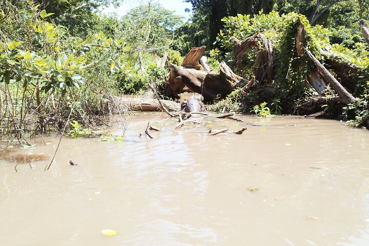 Private Kayaking Experience in Ometepe