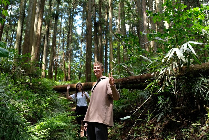 Forest Bathing in Temple and Enjoy onsen with healing power