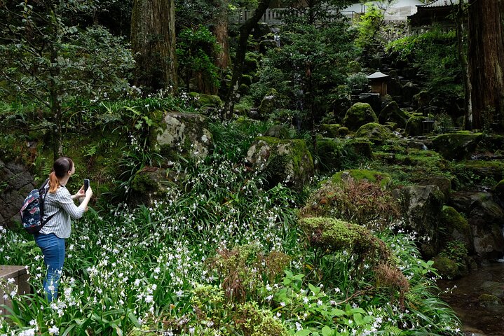 Forest Bathing in Temple and Enjoy onsen with healing power
