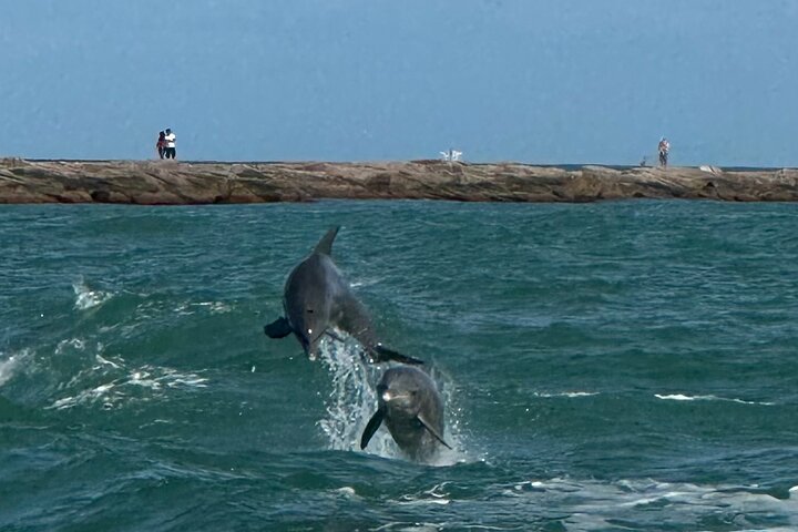 Sunset Dolphin Watch Cruise